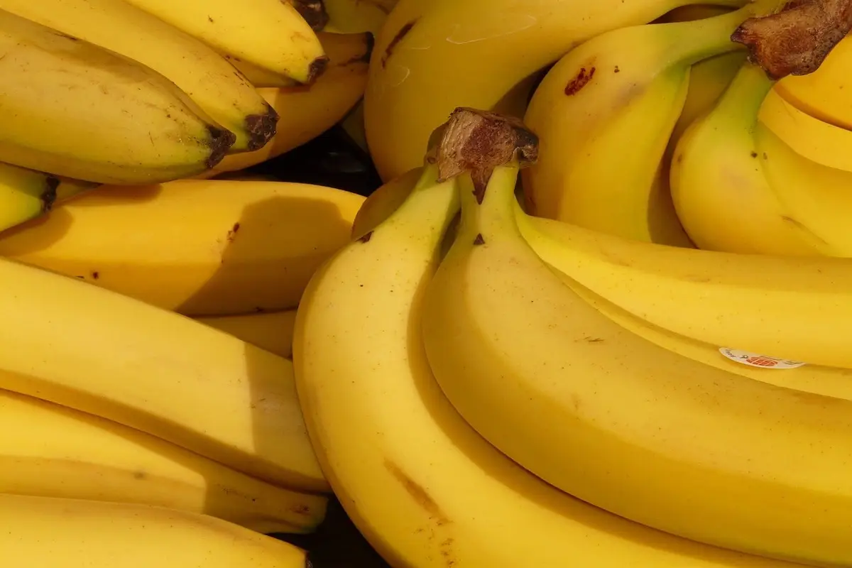 Non solo banane: ecco gli alimenti sorprendenti più ricchi di potassio e magnesio che stai ignorando