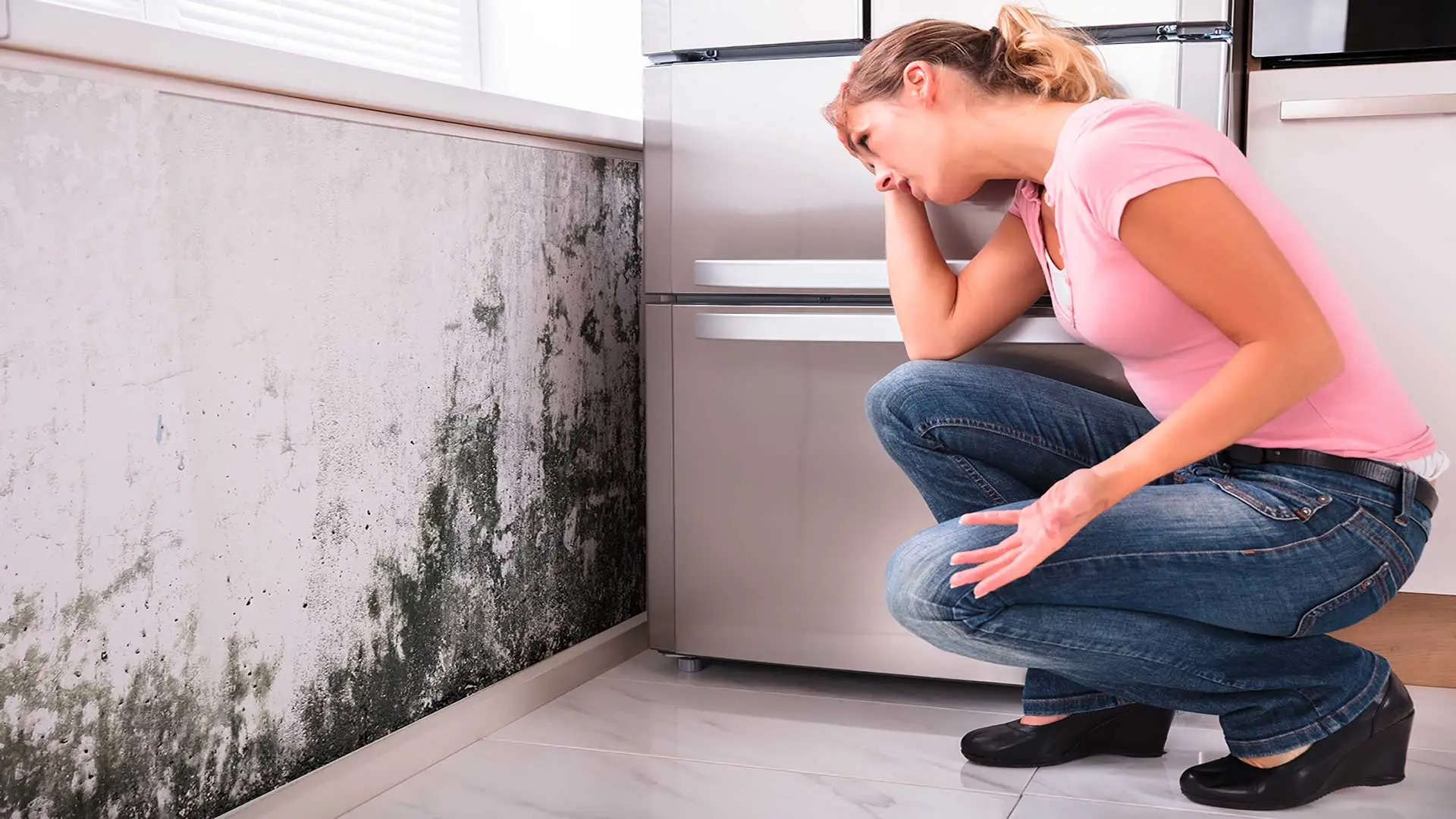 Tossine e muffa in casa? Ecco le piante che purificano l’aria meglio di un filtro
